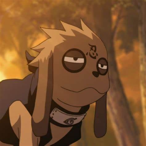 Kiba vol els de Naruto?